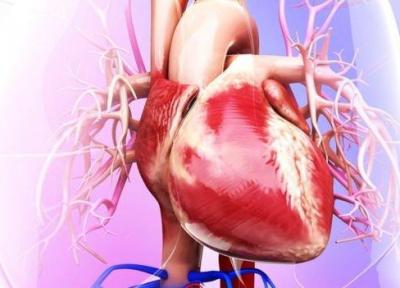 نکات کلیدی برای حفظ سلامت قلب در بیماران دیالیزی