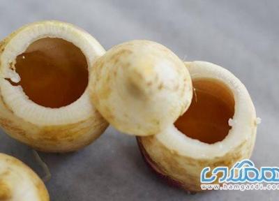 بهترین درمان خانگی سرماخوردگی