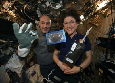 بیسکوئیت های پخته شده در فضا به زمین رسیدند