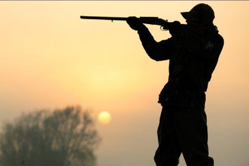 5 شکارچی متخلف در منطقه شکار ممنوع زله زرد دستگیر شدند