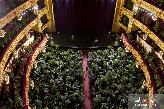 کنسرت گیاهان ؛ خانه اپرای بارسلونا با یک کنسرت برای 2292 گیاه افتتاح شد