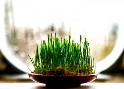 گل و سبزه شب عید چند؟