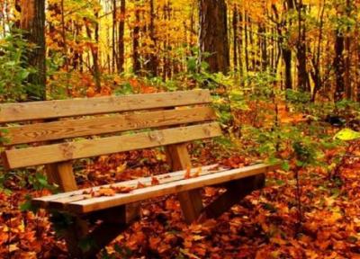 پاییز به روایت نقاشی