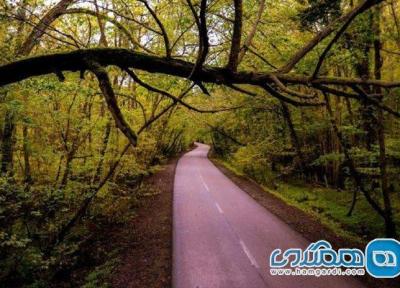 پارک جنگلی نور یکی از جاذبه های شمال کشور است