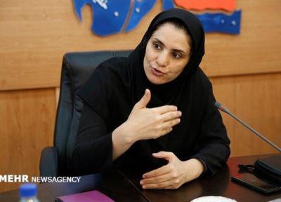 سرمایه گذار برای اجرای طرح های حوزه کودک و نوجوان جذب گردد