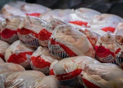 مشکل اصلی بحران مرغ چیست؟