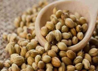 تخم گشنیز در کنترل قندخون تاثیر دارد