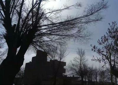 وزش باد زنجان را فرا می گیرد، هوا خنک می گردد