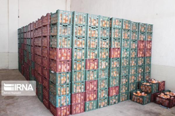 خبرنگاران 662 تن میوه ویژه نوروز99 در چهارمحال و بختیاری به فروش رفت