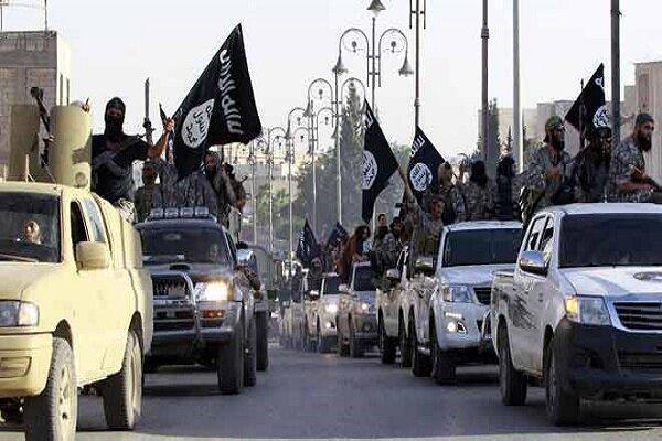 سفارت آمریکا به دنبال ایجاد تشکیلات جدید داعش در جنوب عراق است
