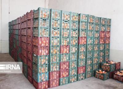 خبرنگاران 662 تن میوه ویژه نوروز99 در چهارمحال و بختیاری به فروش رفت