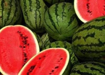 هندوانه به شرط چاقو نخرید!