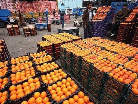 سیب و پرتقال تنظیم بازاری از فردا توزیع می شود