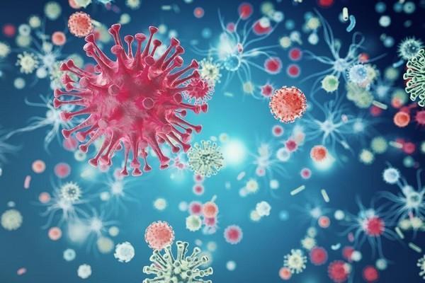 4 طرح فناورانه دانشگاه آزاد برای مقابله با ویروس کووید-19