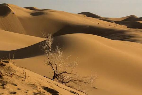 راهنمای سفر به کویر؛ معرفی زیباترین کویرهای ایران راهنمای سفر به کویر؛ معرفی زیباترین کویرهای ایران