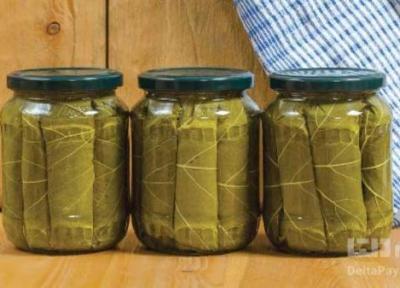 از خواص شگفت انگیز برگ مو اطلاع دارید؟