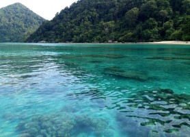 پارک ملی مو کو سورین