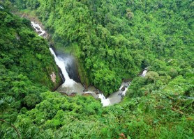 پارک ملی خائو یای تایلند